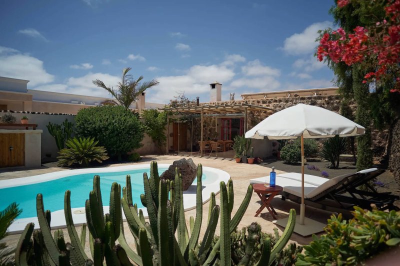 Piscina y jardín